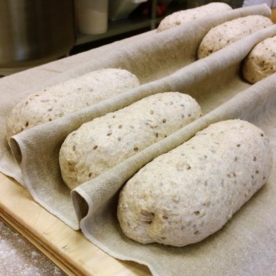 Shaped loaves resting on a linen couche