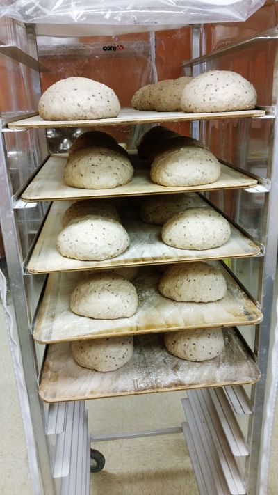 Pre-shaped dough resting on a rack