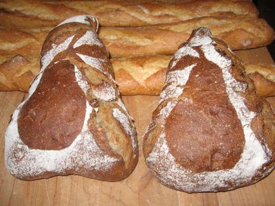 buckwheat pear