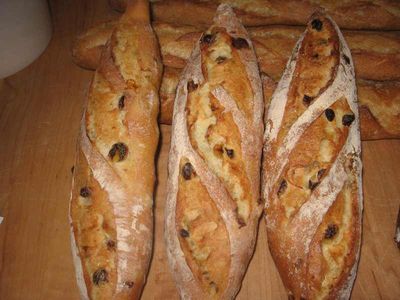 semolina batard