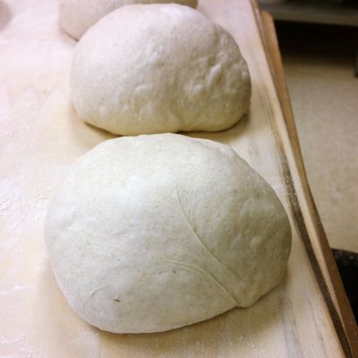 A big hunk of Sourdough dough
