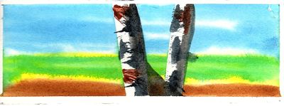 painting of birch trees