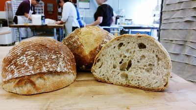 Saskatchewan Sourdough