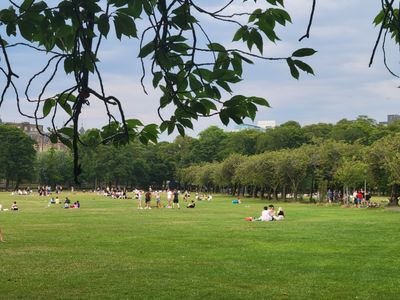 folks cooling off at the park