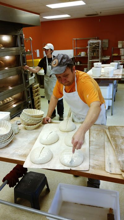 Mark scoring sourdough loaves