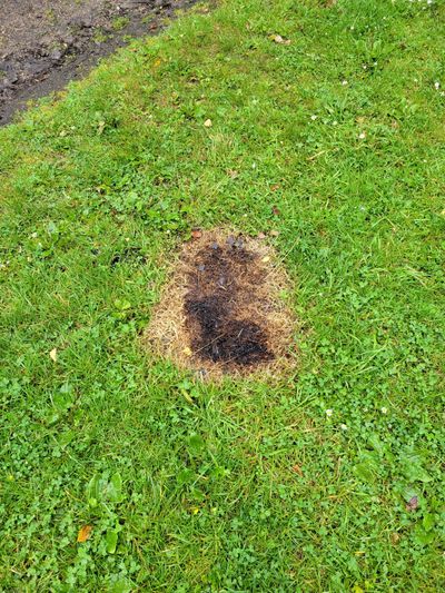 burned out divot